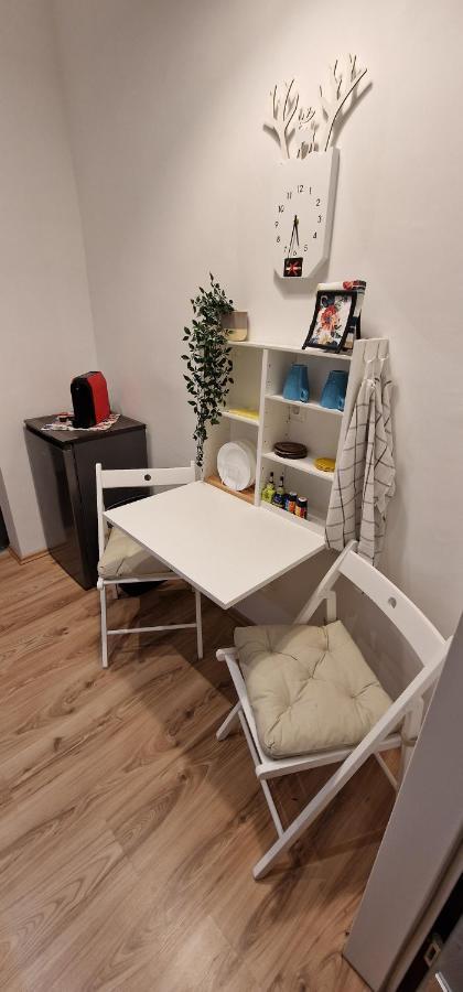 Magic-Trio-Apartment-Im- Zentrum-Von-Wien Luaran gambar